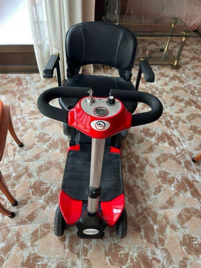 Teyder Folding Electric Scooter